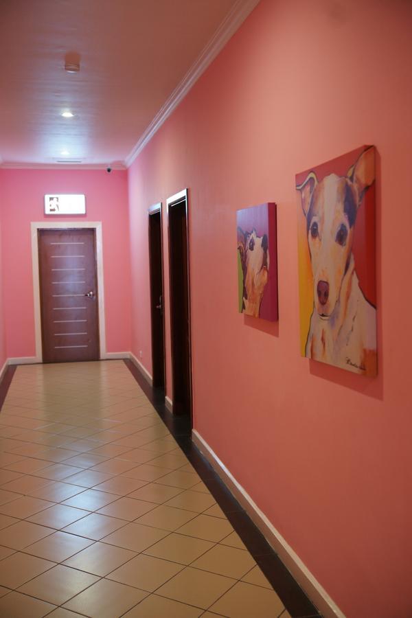 Hotel Morobe Lae Zewnętrze zdjęcie